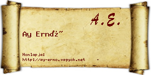 Ay Ernő névjegykártya