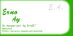 erno ay business card